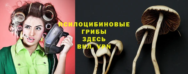 a pvp Вязники