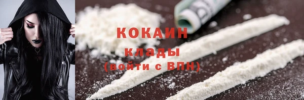 мдпв Вяземский