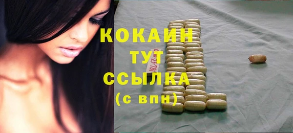 мдпв Вяземский