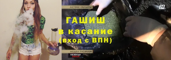 мдпв Вяземский