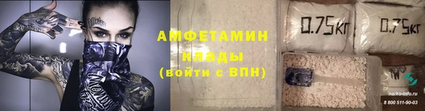 мдпв Вяземский