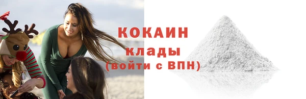 мдпв Вяземский