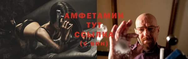 мдпв Вяземский