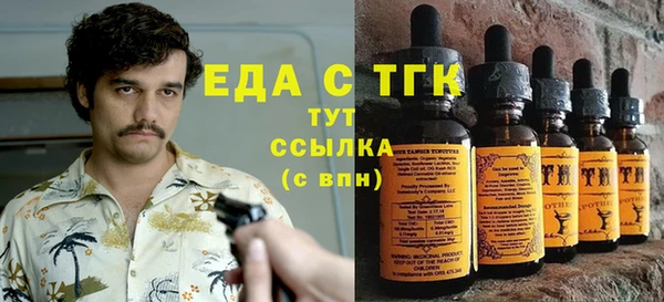 мдпв Вяземский