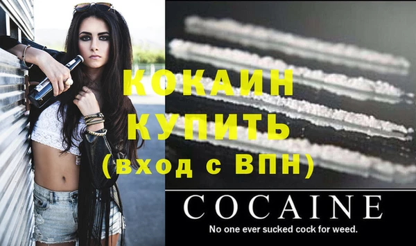 мдпв Вяземский