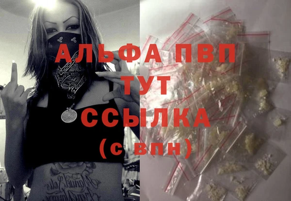 мдпв Вяземский