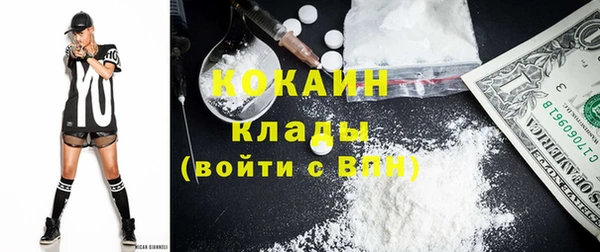 мдпв Вяземский
