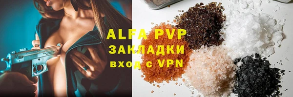 мдпв Вяземский