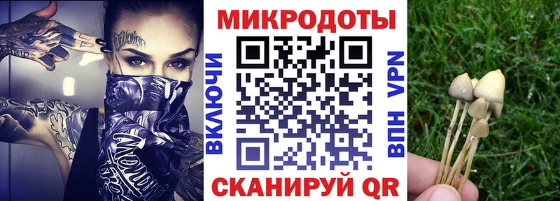 Псилоцибиновые грибы Cubensis Нариманов